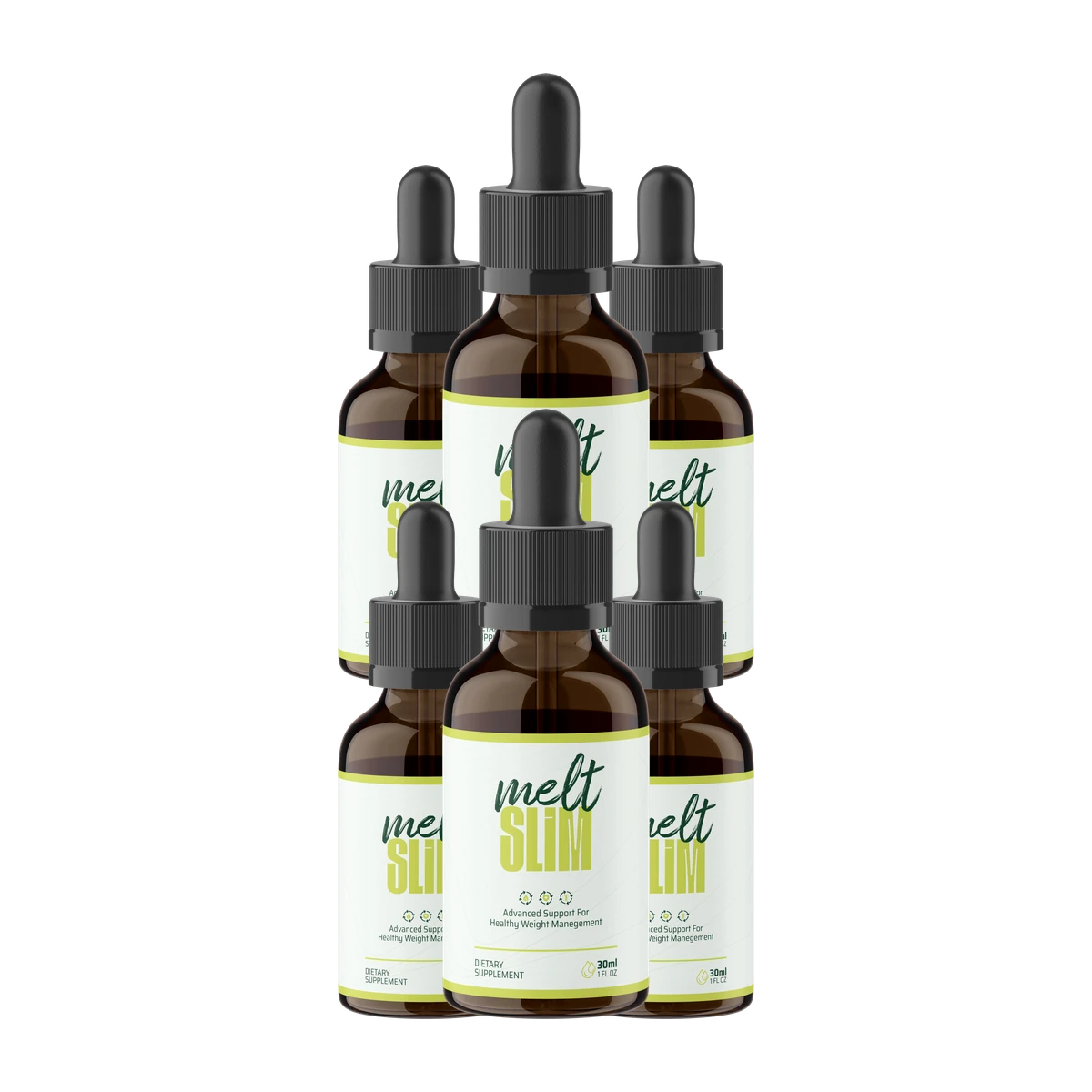 MeltSlim 6 Bottles